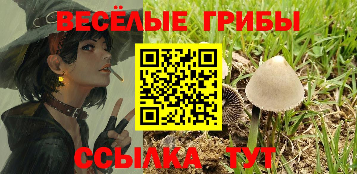 Псилоцибиновые грибы прущие грибы  Псилоцибиновые грибы прущие грибы  Вход с VPN  Фрязино 